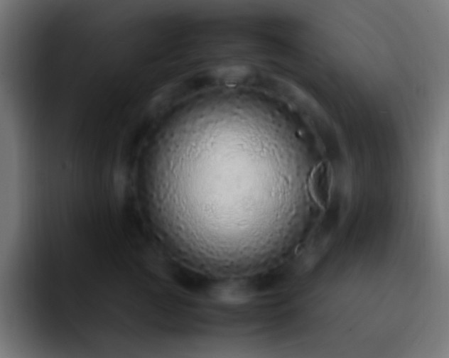 X0000093160761200710031445