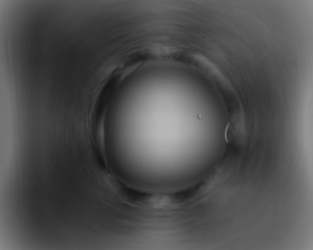 X0000093160762200710031445