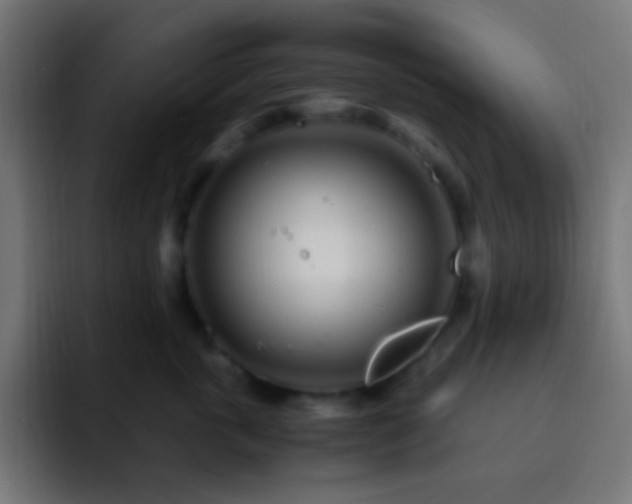 X0000093160763200710031445
