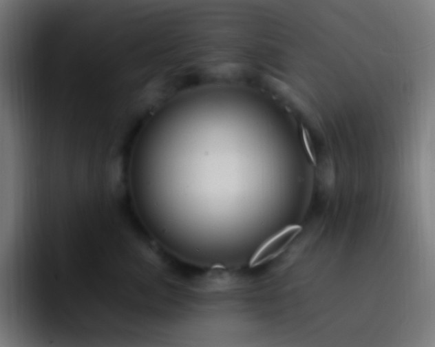 X0000093160764200710031445