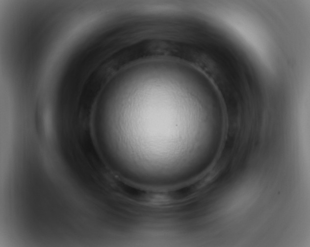 X0000093160765200710031446
