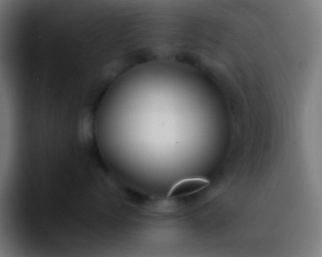 X0000093160768200710031446