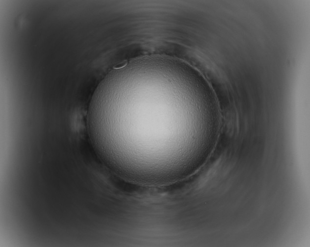 X0000093160770200710031445