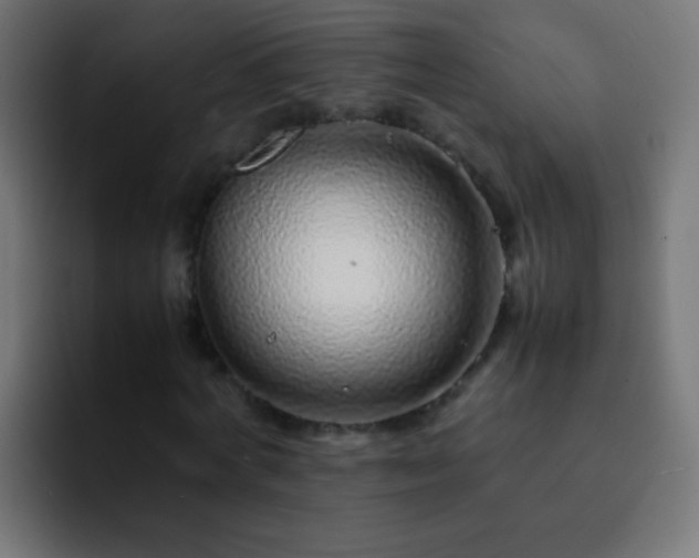X0000093160772200710031445