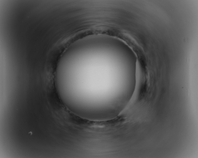 X0000093160773200710031445