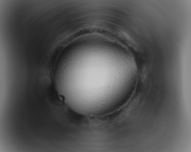 X0000093160774200710031445