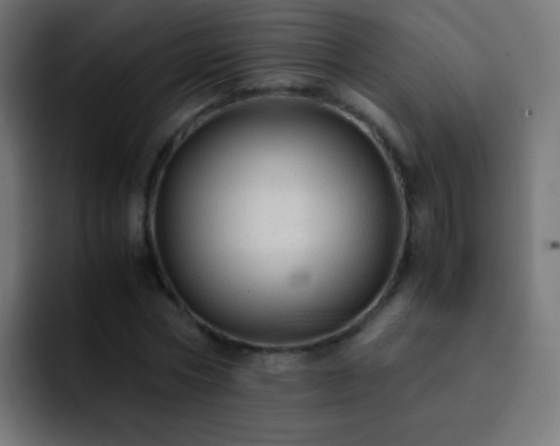X0000093160778200710031445