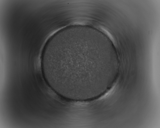 X0000093160779200710031445