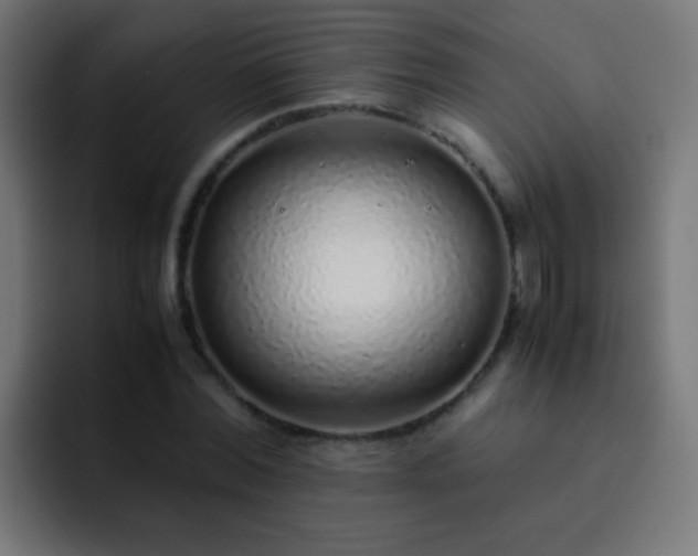 X0000093160780200710031445