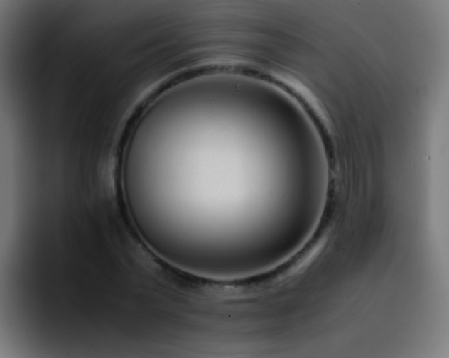 X0000093160783200710031445