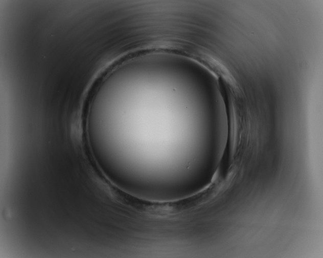 X0000093160784200710031445