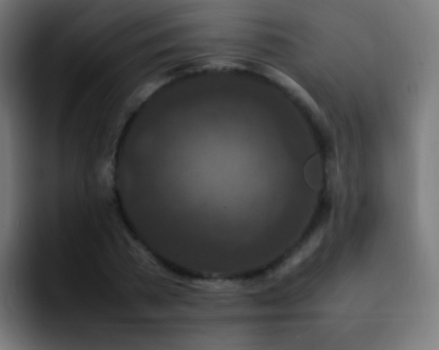 X0000093160785200710031445