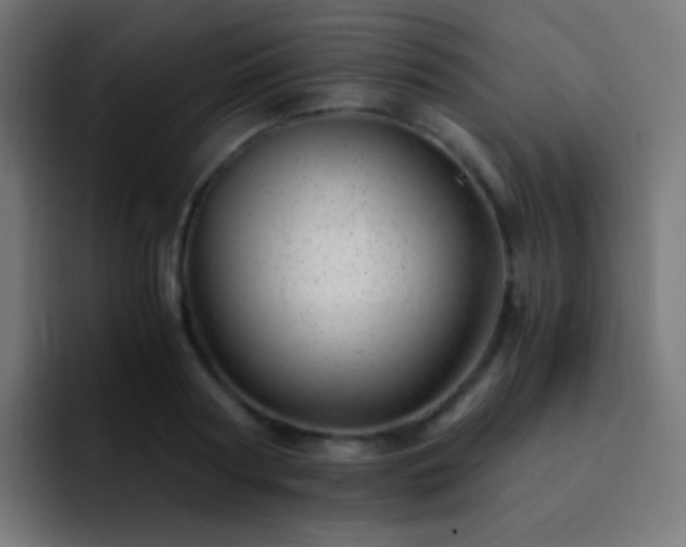 X0000093160794200710031445