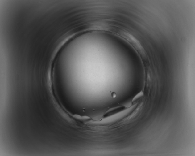 X0000093160796200710031445