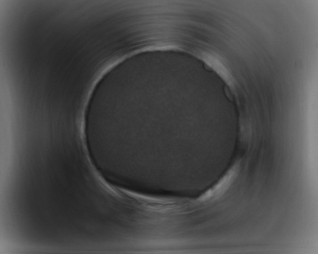 X0000093160797200710031445
