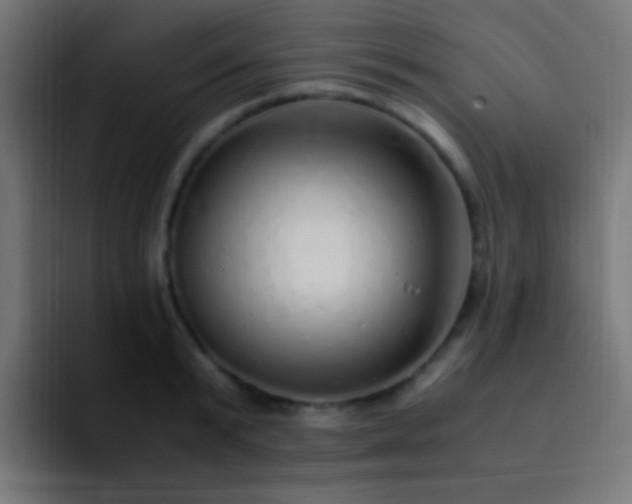 X0000093160799200710031445