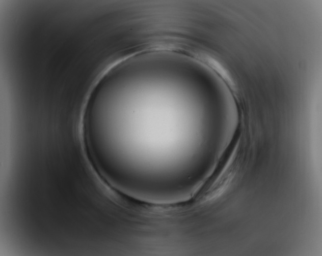 X0000093160803200710031445