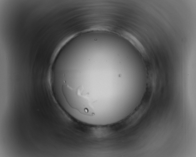 X0000093160804200710031445