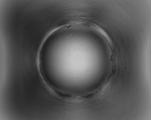 X0000093160811200710031444