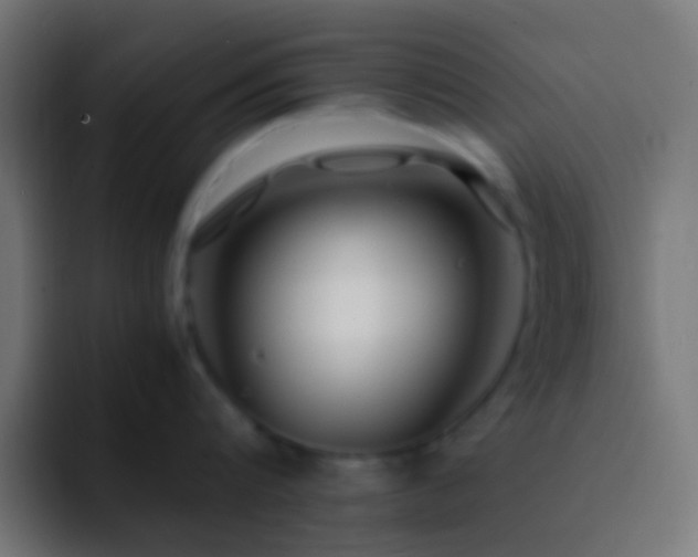 X0000093160816200710031444