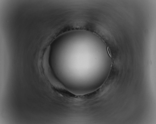 X0000093160817200710031444