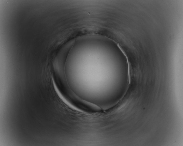 X0000093160818200710031444