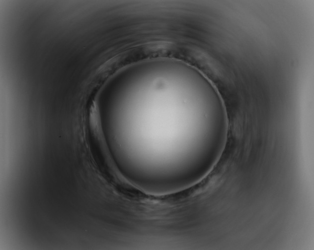 X0000093160821200710031444
