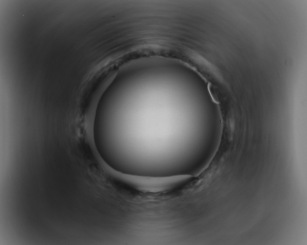 X0000093160822200710031444