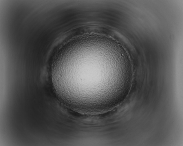 X0000093160823200710031444