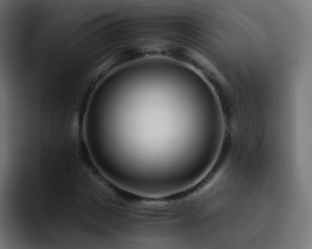 X0000093160825200710031444