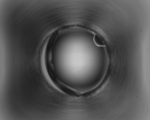 X0000093160826200710031444
