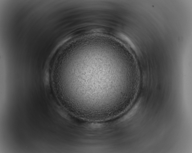 X0000093160827200710031444