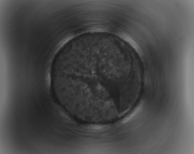 X0000093160829200710031444