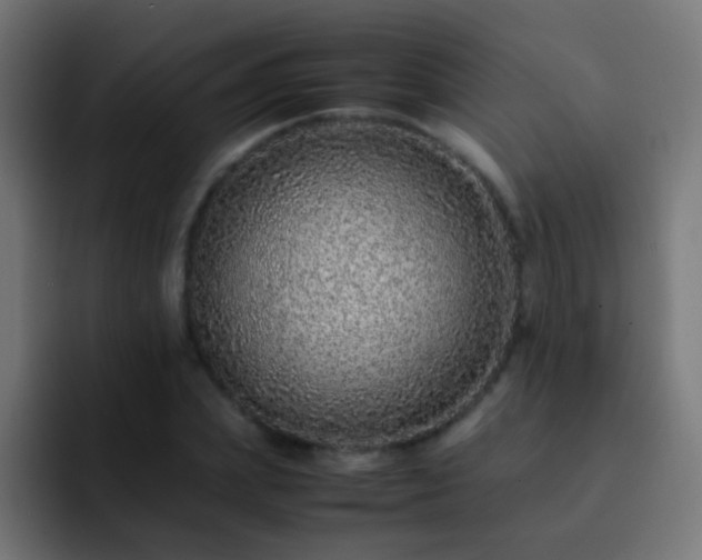 X0000093160831200710031444
