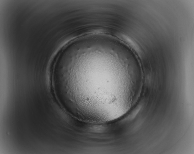 X0000093160835200710031444