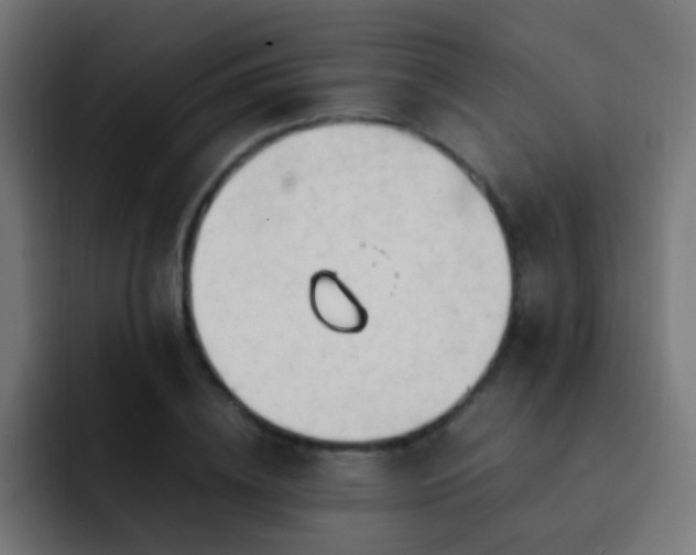 X0000093160836200710031444