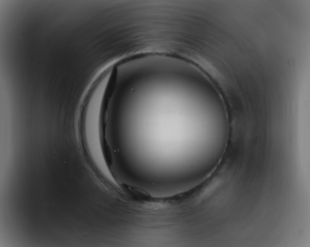 X0000093160838200710031444