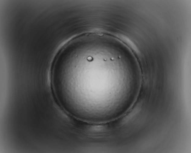X0000093160839200710031444