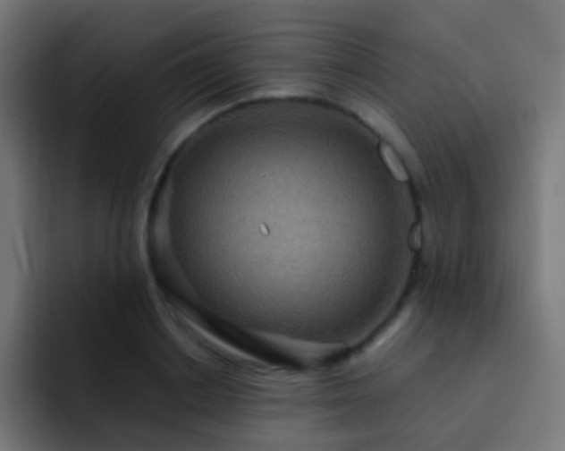 X0000093160842200710031444