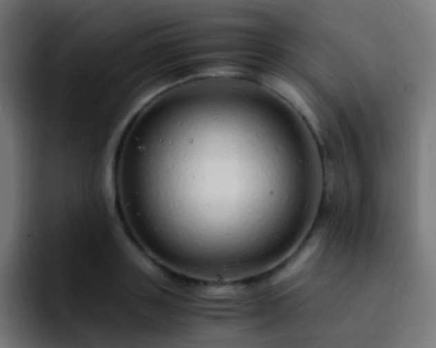 X0000093160843200710031444
