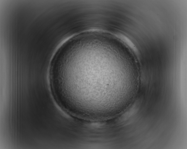 X0000093160847200710031444