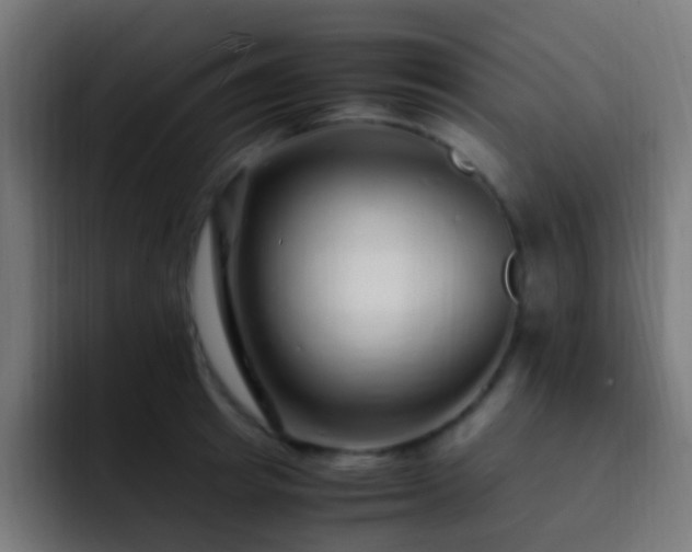 X0000093160849200710031444