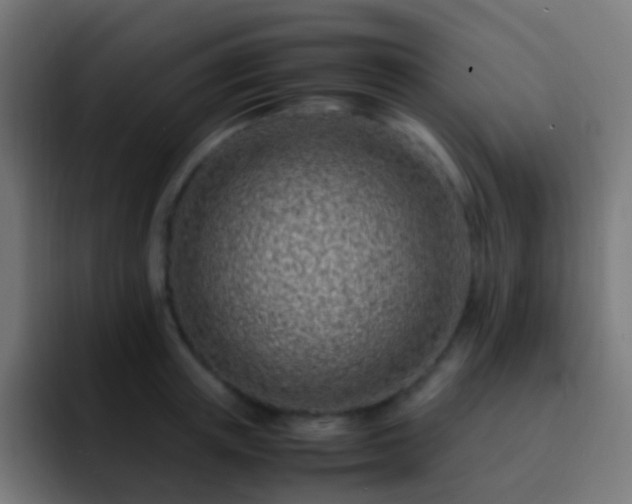X0000093160851200710031444