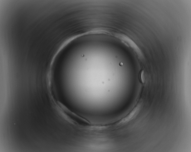 X0000093160860200710031444