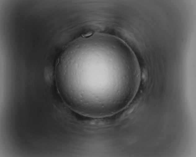 X0000093160867200710031444
