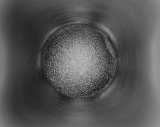 X0000093160875200710031444