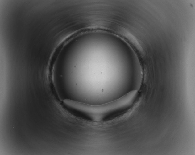X0000093160876200710031444