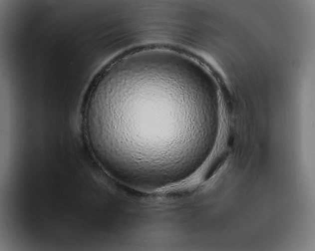 X0000093160879200710031444