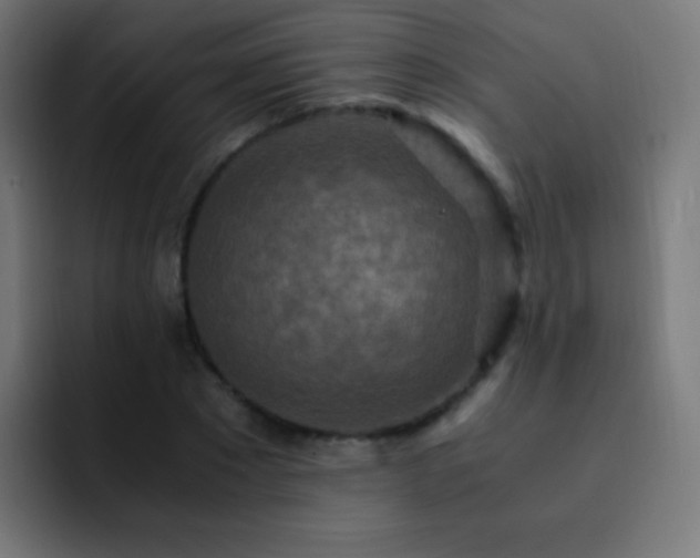 X0000093160881200710031444