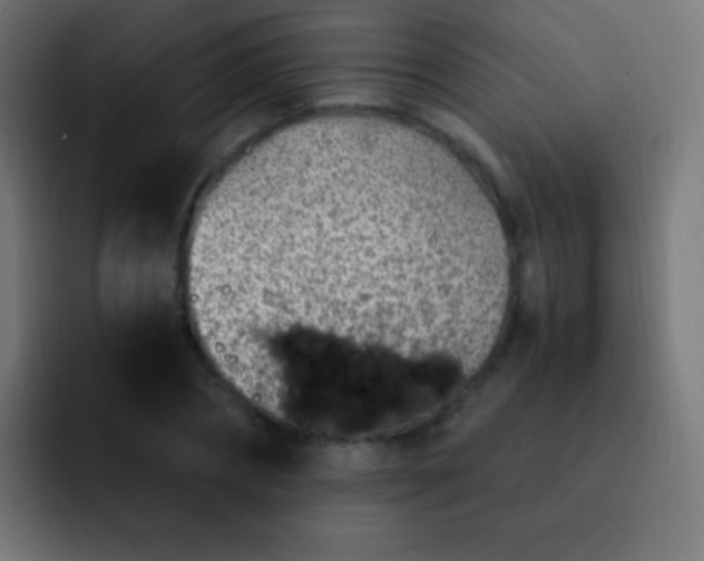 X0000093160882200710031444